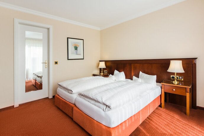 Imagen general del Hotel Villa Marburg Im Park. Foto 6