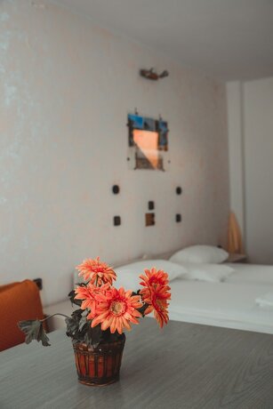 Imagen general del Hotel Villa Maria, Kokkari. Foto 7