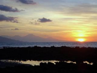 Imagen general del Hotel Villa Mayo Bali. Foto 2