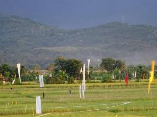 Imagen general del Hotel Villa Mayo Bali. Foto 5