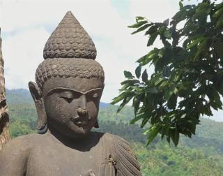 Imagen general del Hotel Villa Mayo Bali. Foto 6