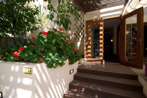 Imagen general del Hotel Villa Miel. Foto 9