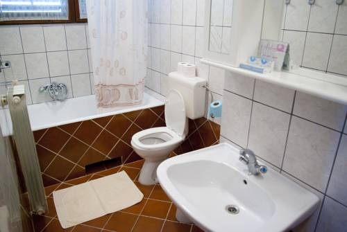 Imagen general del Hotel Villa Mihaela. Foto 3