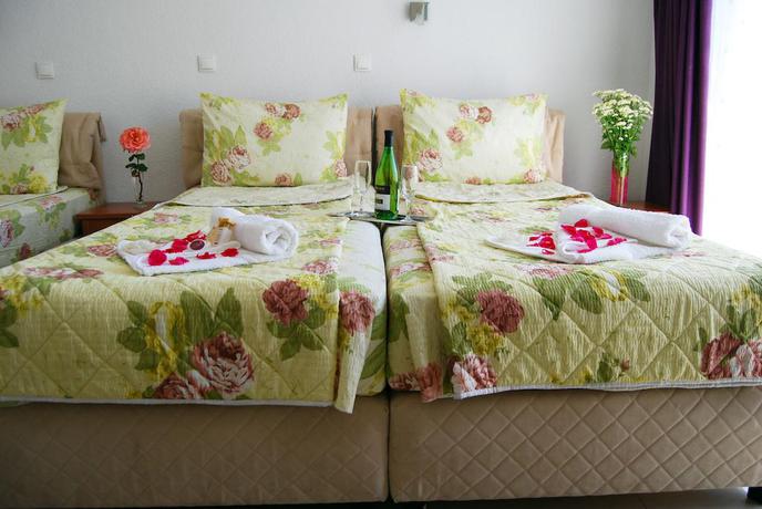 Imagen de la habitación del Hotel Villa Milka. Foto 10