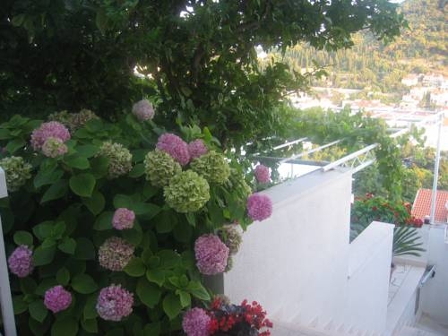Imagen general del Hotel Villa Misita. Foto 5