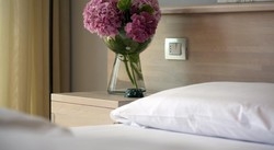 Imagen de la habitación del Hotel Villa Monica. Foto 2