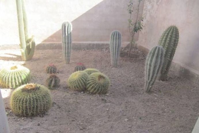Imagen de los exteriores del Hotel Villa Oc&eacute;ane. Foto 12