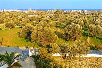 Imagen de la habitación del Hotel Villa Olive Grove. Foto 5
