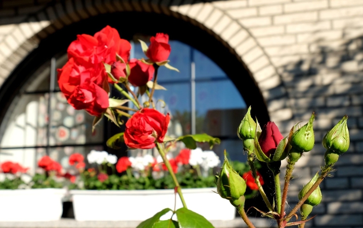 Imagen de los exteriores del Hotel Villa Orchard Frankfurt. Foto 16