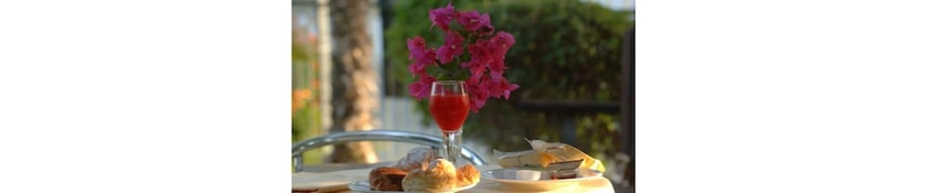 Imagen del bar/restaurante del Hotel Villa Orchidea, Vittoria. Foto 4