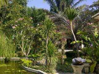 Imagen general del Hotel Villa Pakem Yogyakarta. Foto 15