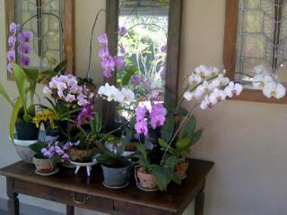 Imagen general del Hotel Villa Pakem Yogyakarta. Foto 16