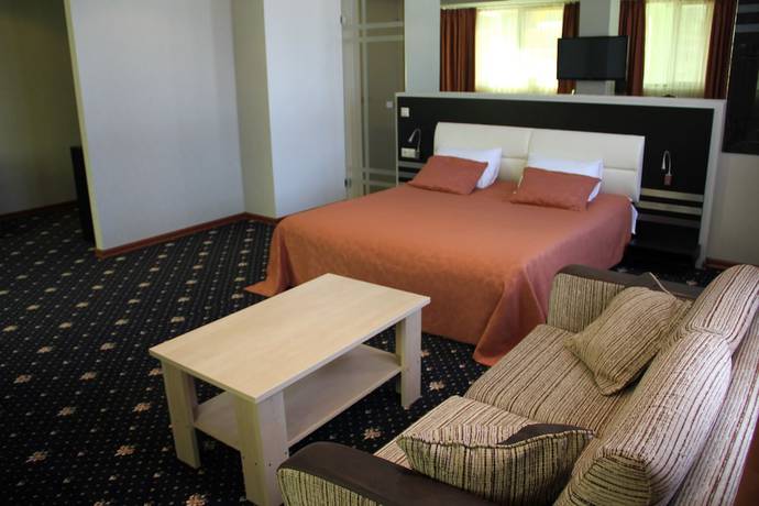 Imagen de la habitación del Hotel Villa Palace. Foto 11