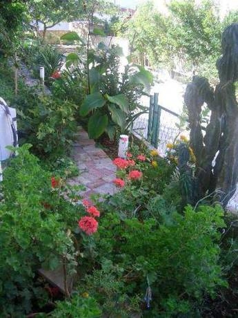 Imagen general del Hotel Villa Palma, Makarska. Foto 13