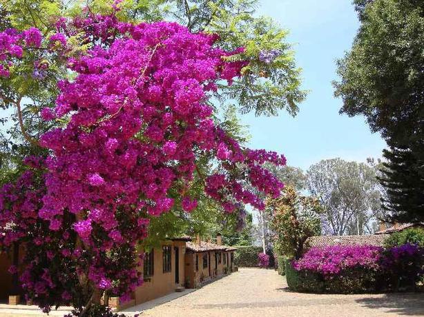Imagen general del Hotel Villa Patzcuaro Garden & RV Park. Foto 12
