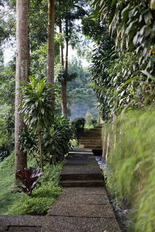 Imagen de la habitación del Hotel Villa Puncak by Plataran. Foto 13