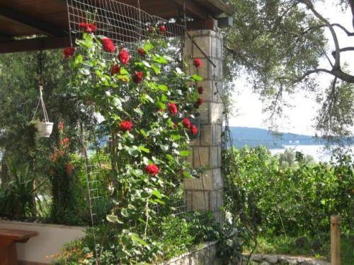 Imagen general del Hotel Villa Ro-ela. Foto 3