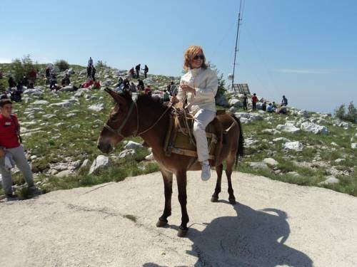 Imagen general del Hotel Villa Ro-ela. Foto 6