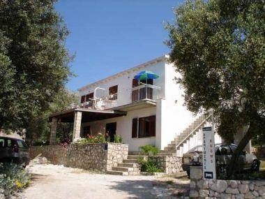 Imagen general del Hotel Villa Ro-ela. Foto 13