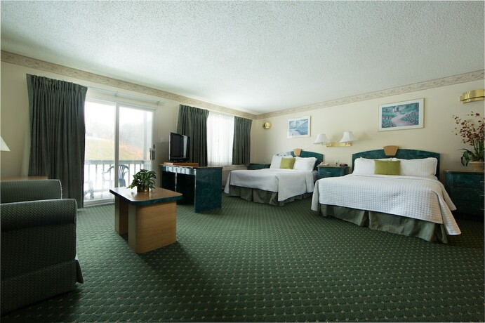 Imagen de la habitación del Hotel Villa Roma Resort and Conference Center. Foto 18