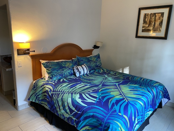 Imagen de la habitación del Hotel Villa Rosa Inn. Foto 9