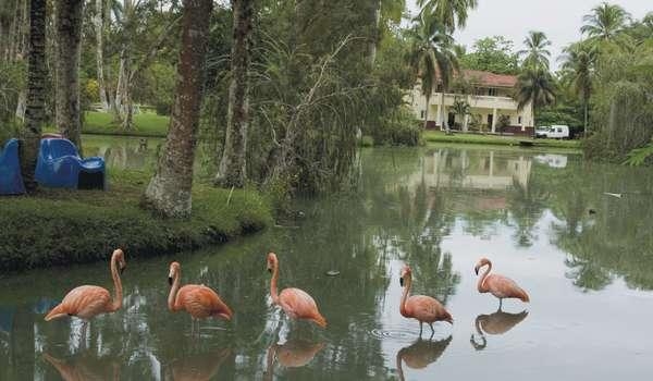Imagen general del Hotel Villa San Jose Del Lago. Foto 7