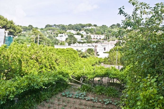 Imagen de la habitación del Hotel Villa Sarah. Foto 12