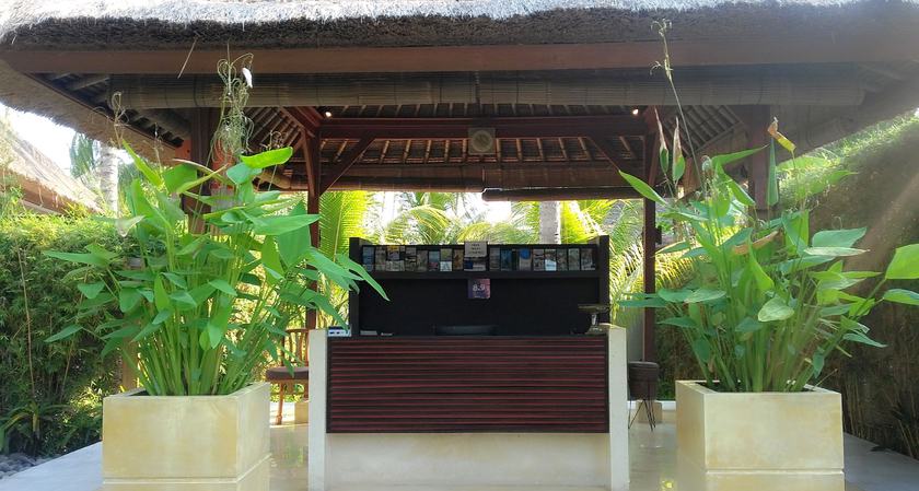 Imagen de los interiores del Hotel Villa Sasoon. Foto 19