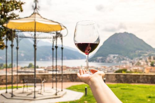 Imagen general del Hotel Villa Sassa. Foto 10