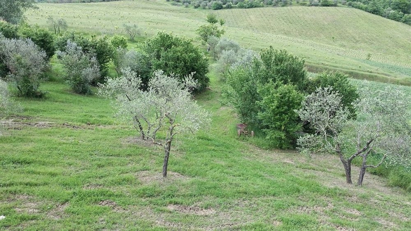 Imagen de los exteriores del Hotel Villa Saulina. Foto 6