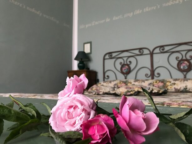 Imagen general del Hotel Villa Schindler. Foto 5