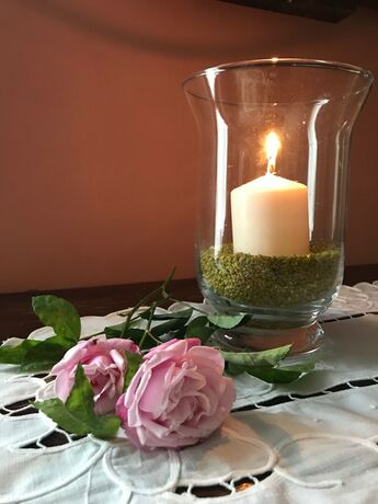 Imagen general del Hotel Villa Schindler. Foto 7