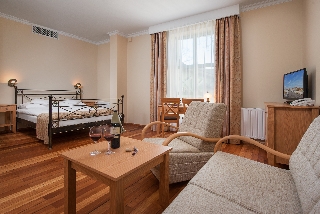 Imagen de la habitación del Hotel Villa Sedan. Foto 3