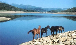 Imagen general del Hotel Villa Selene. Foto 3