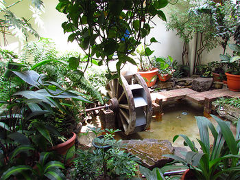 Imagen de los interiores del Hotel Villa Serena San Benito. Foto 12