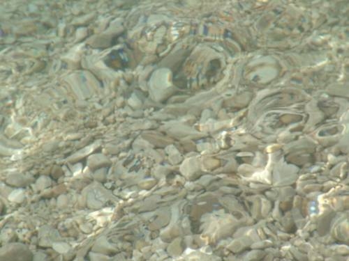 Imagen general del Hotel Villa Sofia, Zaostrog. Foto 15