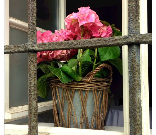 Imagen de los exteriores del Hotel Villa Sorgenfrei and Restaurant Atelier Sanssouci. Foto 12