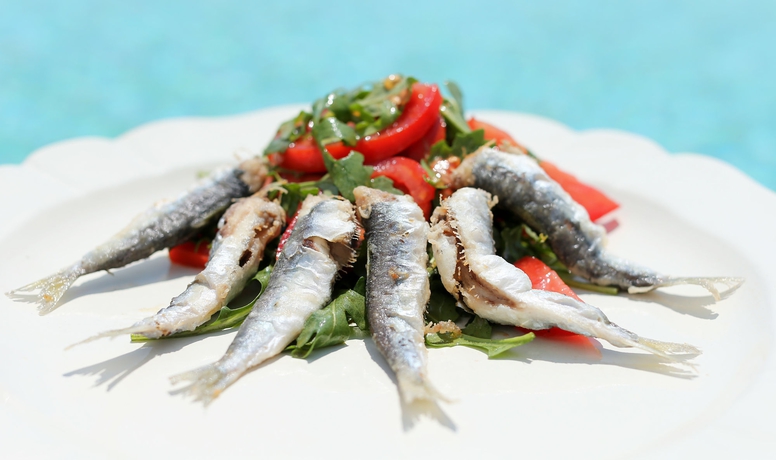 Imagen del bar/restaurante del Hotel Villa Stefanija. Foto 5