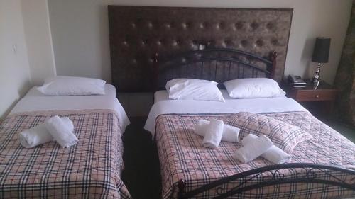 Imagen de la habitación del Hotel Villa Tasko. Foto 6