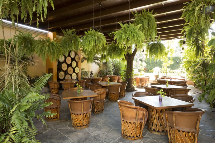 Imagen del bar/restaurante del Hotel Villa Tequila. Foto 4