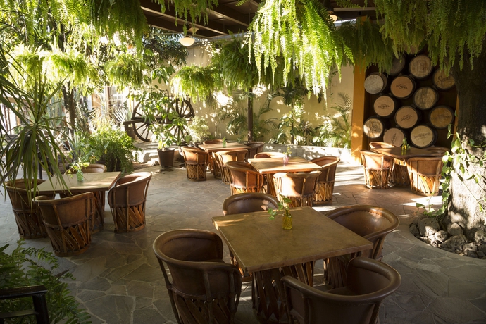 Imagen del bar/restaurante del Hotel Villa Tequila. Foto 7