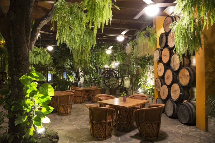 Imagen del bar/restaurante del Hotel Villa Tequila. Foto 8