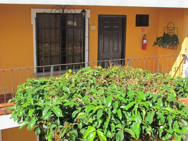 Imagen de los exteriores del Hotel Villa Terra. Foto 8