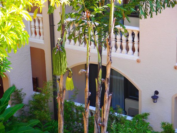 Imagen de la habitación del Hotel Villa Th&eacute;r&egrave;se. Foto 9