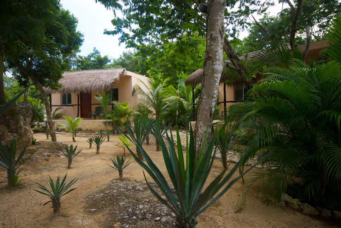 Imagen general del Hotel Villa Tortugas. Foto 4