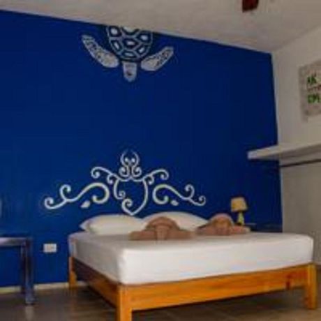 Imagen general del Hotel Villa Tortugas. Foto 9