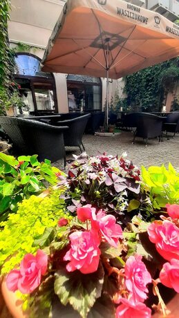 Imagen general del Hotel Villa Tradycja. Foto 17