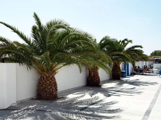 Imagen de los interiores del Hotel Villa Valvis. Foto 12