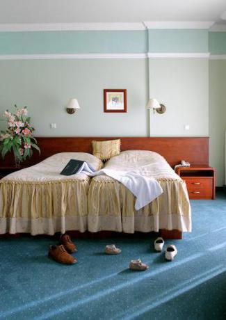 Imagen de la habitación del Hotel Villa Verde Congress & Spa. Foto 7