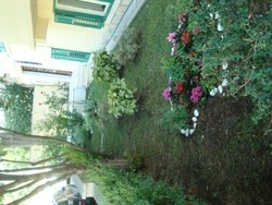 Imagen general del Hotel Villa Vice. Foto 2